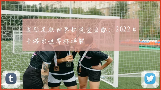 国际足联世界杯奖金分配：2022年卡塔尔世界杯详解