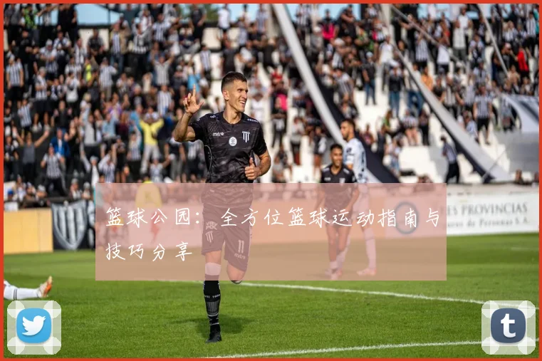 篮球公园：全方位篮球运动指南与技巧分享