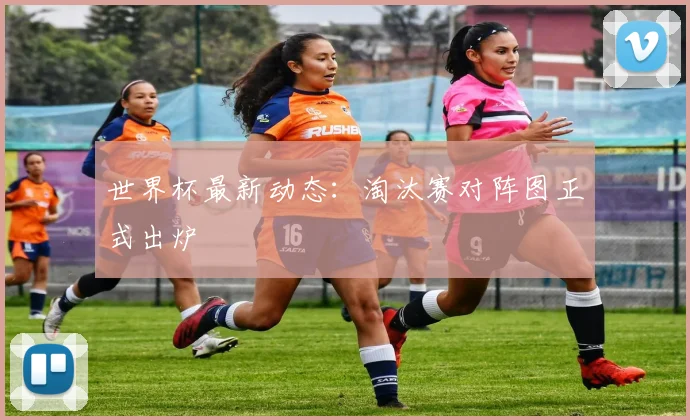 世界杯最新动态：淘汰赛对阵图正式出炉