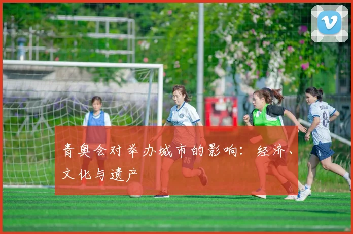 青奥会对举办城市的影响:经济、文化与遗产