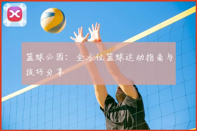 篮球公园:全方位篮球运动指南与技巧分享